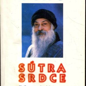 Sútra srdce : kniha spontánních rozprav nad Buddhovou sútrou