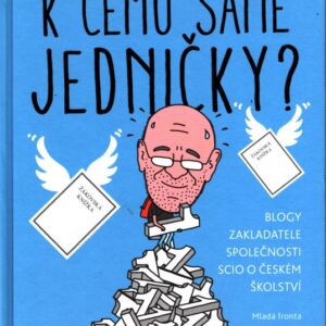K čemu samé jedničky?