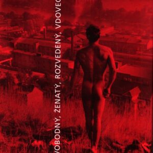 Svobodný,ženatý,rozvedený,vdovec