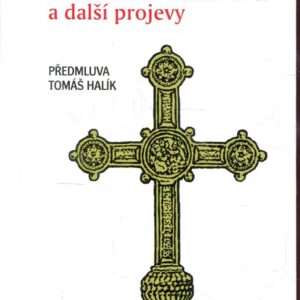 Přednáška v Řezně a další projevy