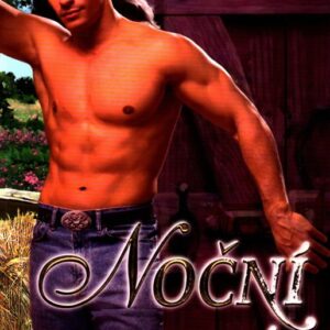 Noční bojovník