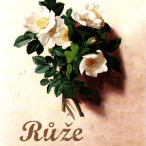 Růže z Cherrybrooku