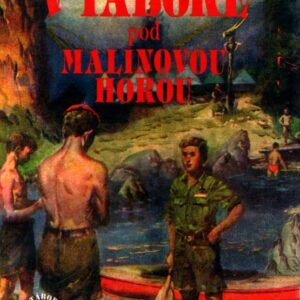 V táboře pod Malinovou horou