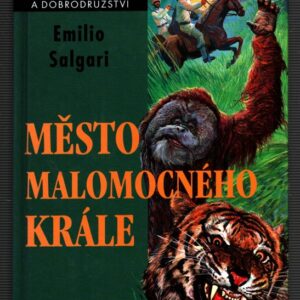 Město malomocného krále
