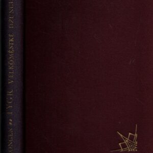 Tygr velkoměstské džungle : apačský román