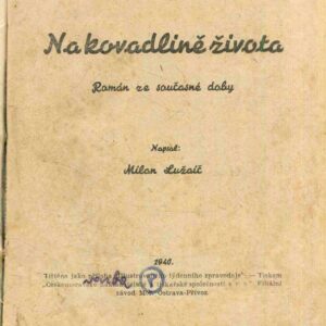 Na kovadlině života Román ze současné doby