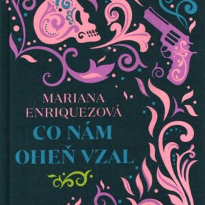 Co nám oheň vzal