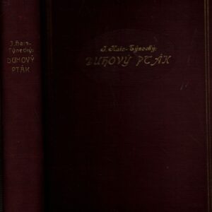 Duhový pták : román