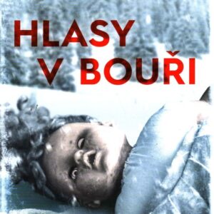 Hlasy v bouři