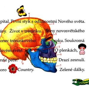 Český lékař v Americe