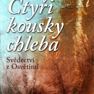 Čtyři kousky chleba