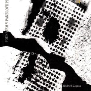 Podnájem v panelové pustině