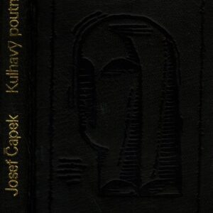 Kulhavý poutník : co jsem na světě uviděl