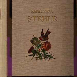 Stehle : podhorský obraz