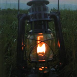 (Z)povídání z cest : (cestopisy, místopisy, povahopisy II)