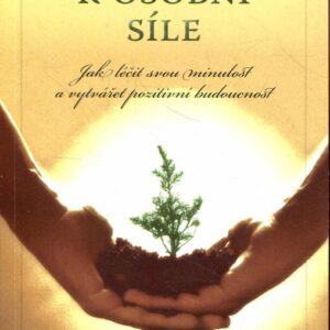Čtyři kroky k osobní síle : jak léčit svou minulost a vytvářet pozitivní budoucnost
