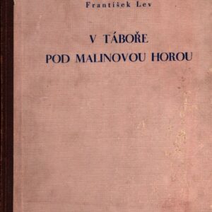 V táboře pod Malinovou horou