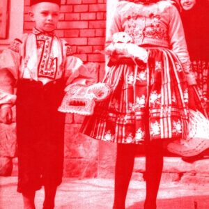 Dary a obdarování : příspěvky z konference karpatologické komise pro lidové obyčeje MKKK konané v Uherském Hradišti v roce 2007