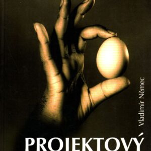 Projektový management