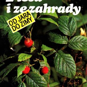 Z lesa i ze zahrady od jara do zimy