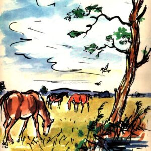 Máš, Sedláčku, pěkný koně