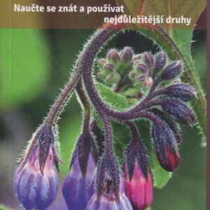 Jedlé bylinky a plody naučte se znát a používat nejdůležitější druhy