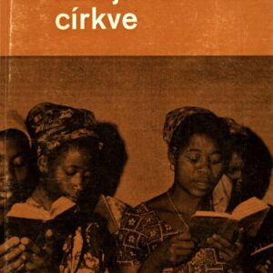 Misijní činnost církve