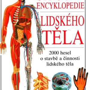 Stručná encyklopedie lidského těla : 2000 hesel o stavbě a činnosti lidského těla