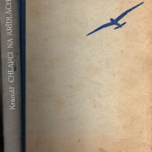 Chlapci na krídlach