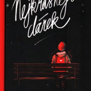 Nejkrásnější dárek antologie českých young adult povídek