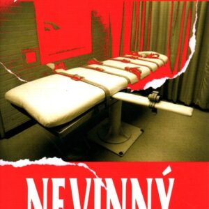 Nevinný : vražda a nespravedlnost na malém městě