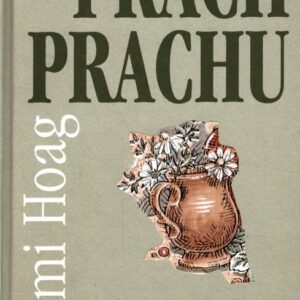 Prach prachu
