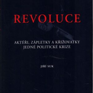 Labyrintem revoluce : aktéři, zápletky a křižovatky jedné politické krize : (od listopadu 1989 do června 1990)