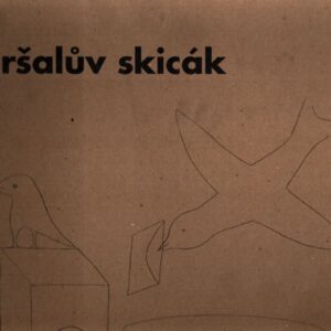 Hiršalův skicák : básně & domalovánky pro děti