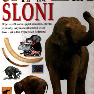 Sloni