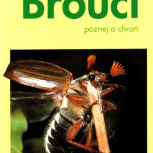 Brouci