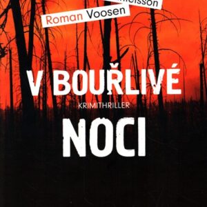 V bouřlivé noci