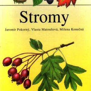 Stromy