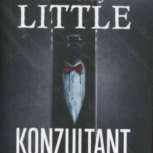 Konzultant
