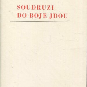 Soudruzi do boje jdou