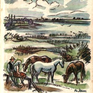 Mlhy na Blatech : Román