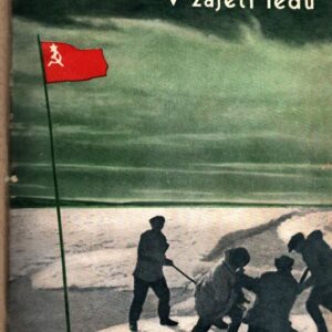 Čeljuskin v zajetí ledu