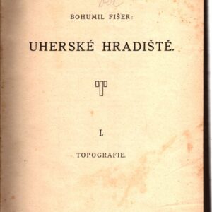 Uherské Hradiště I. Topografie