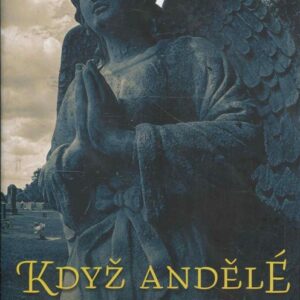 Když andělé dřímají