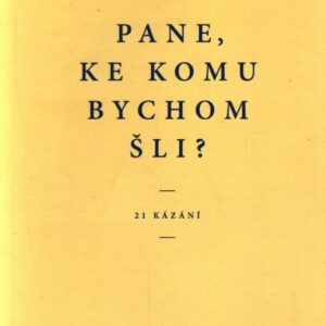 Pane, ke komu bychom šli?