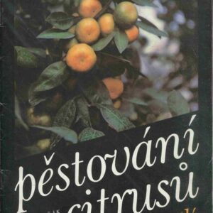 Pěstování citrusů