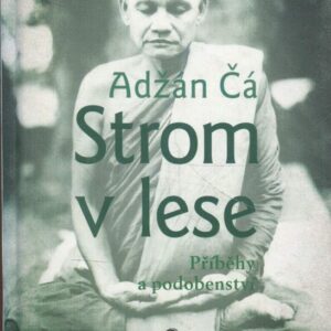Strom v lese : příběhy a podobenství