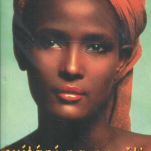 Svítání na poušti