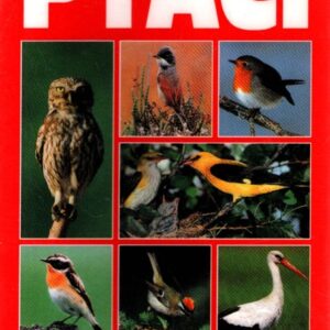 Ptáci : praktická příručka k určování evropských a našich ptáků