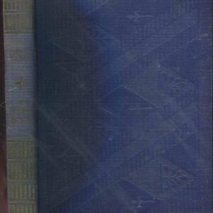 Na křivých cestách : soudobý román z českého Pošumaví